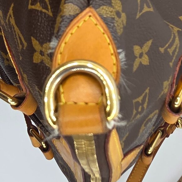 Women's Palermo PM Monogram - Picture 14 of 16